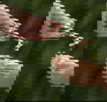 Original 7F249019 7F20 4FAF 8AE1 85DBE3512175